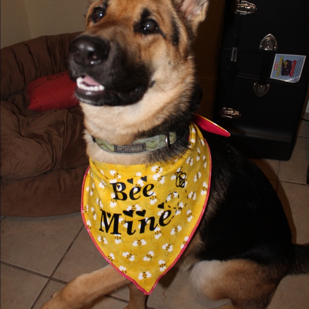 Reversible and personalized pet bandanas.